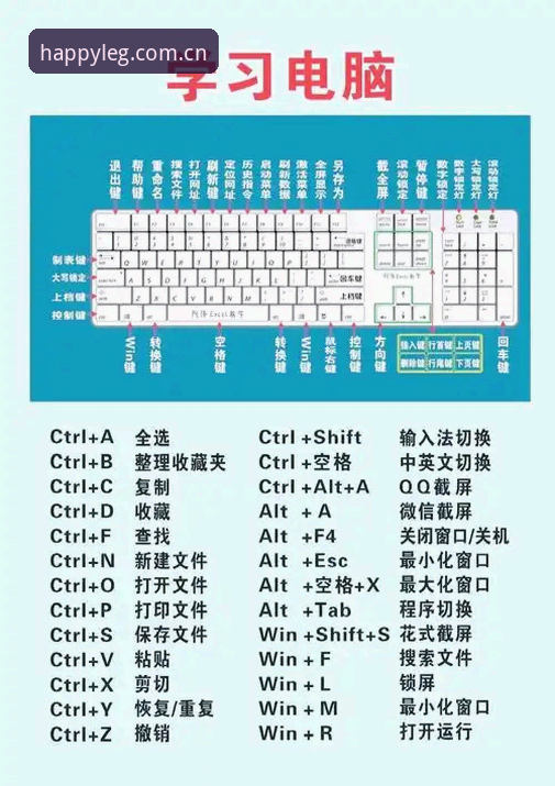 乐冠国际使用教程 乐冠国际平台使用教程:从入门到精通的实用技巧与必备知识